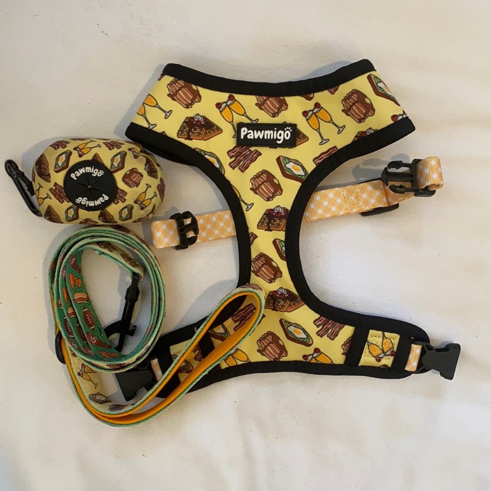 Pawmigo Sunday Funday Harness,Leash, & Poop Bag